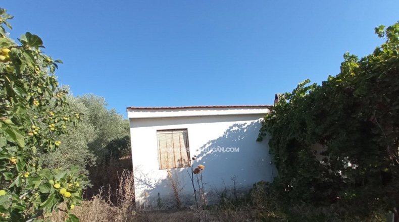 Toledo - Talavera de la Reina - 7000m2