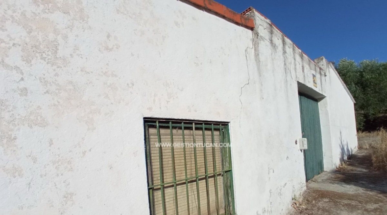 Toledo - Talavera de la Reina - 7000m2