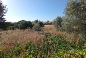 Talavera de la Reina 7000&nbsp;м²