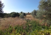 Finca rústica en venta en Talavera de la Reina ref: TR90984 foto