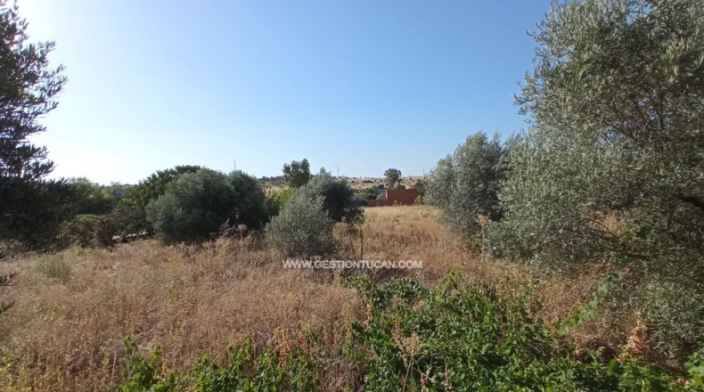 Toledo - Talavera de la Reina - 7000m2