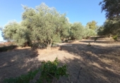 Finca rústica en venta en Talavera de la Reina ref: TR90984 foto