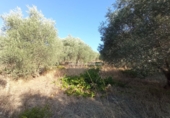Finca rústica en venta en Talavera de la Reina ref: TR90984 foto