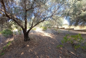 Talavera de la Reina 7000&nbsp;м²