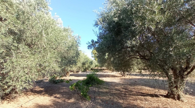 Toledo - Talavera de la Reina - 7000m2