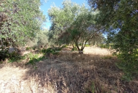 Talavera de la Reina 7000&nbsp;м²