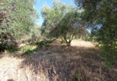 Finca rústica en venta en Talavera de la Reina ref: TR90984 foto