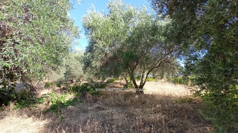 Toledo - Talavera de la Reina - 7000m2