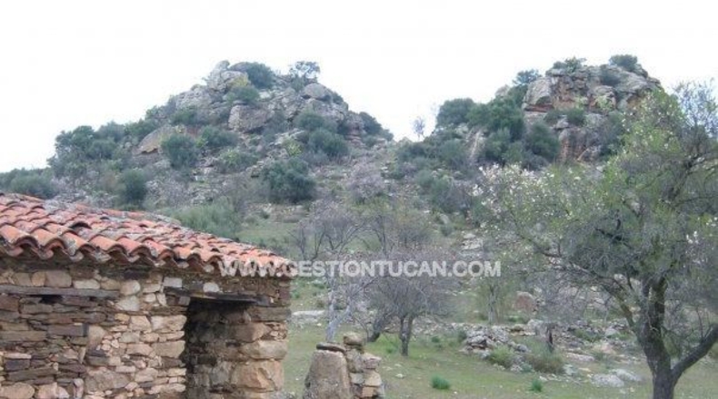 Toledo - Valdeverdeja - 114502m2