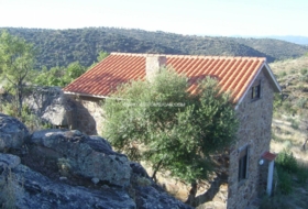 Valdeverdeja 114502&nbsp;м²