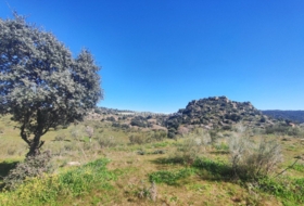 Valdeverdeja 114502&nbsp;м²