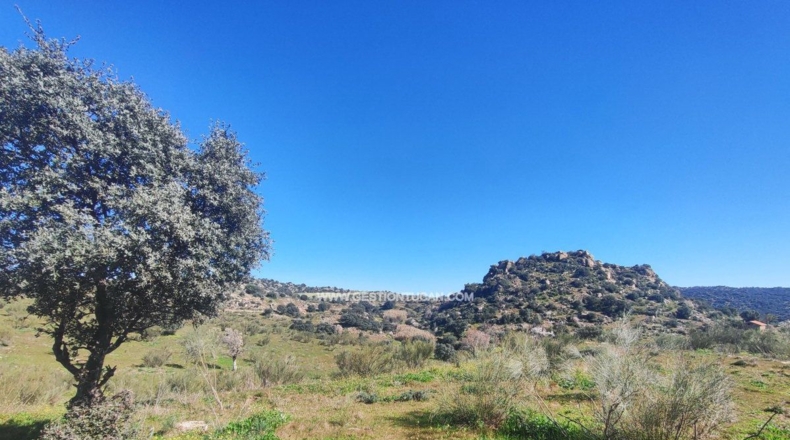 Toledo - Valdeverdeja - 114502m2