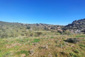 Valdeverdeja 114502&nbsp;м²
