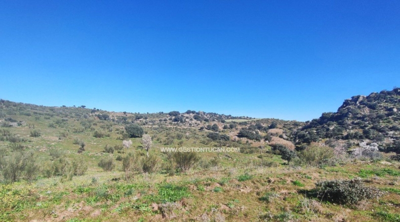 Toledo - Valdeverdeja - 114502m2