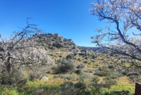 Valdeverdeja 114502&nbsp;м²