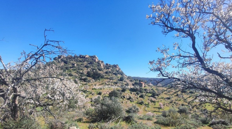Toledo - Valdeverdeja - 114502m2