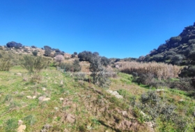 Valdeverdeja 114502&nbsp;м²