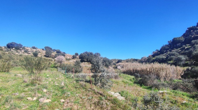 Toledo - Valdeverdeja - 114502m2