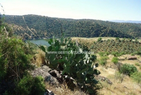Valdeverdeja 114502&nbsp;м²