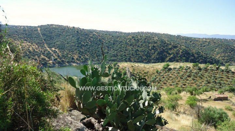 Toledo - Valdeverdeja - 114502m2