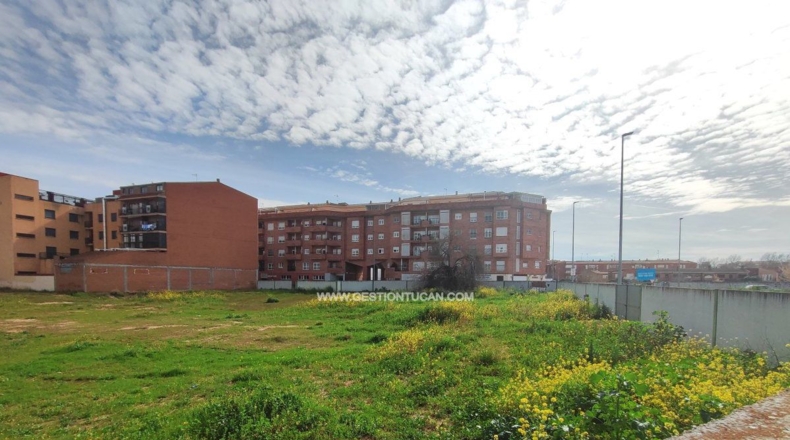 Toledo - Talavera de la Reina - 4308m2