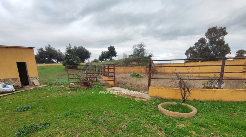 Toledo - Talavera de la Reina - 12250m2
