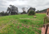 Rural estate for rent in Talavera de la Reina ref: TR372620 photo