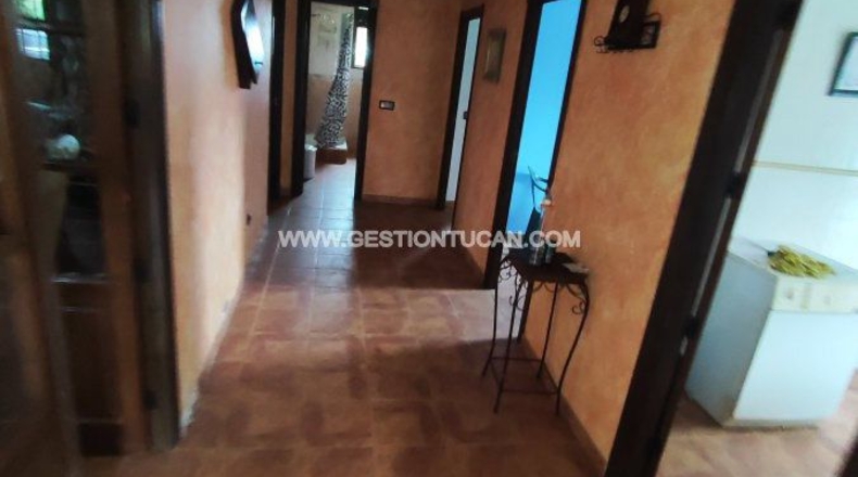 Toledo - Talavera de la Reina - 12250m2