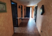 Rural estate for rent in Talavera de la Reina ref: TR372620 photo