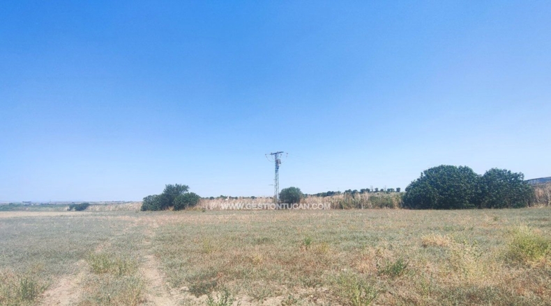 Toledo - La Pueblanueva - 35867m2