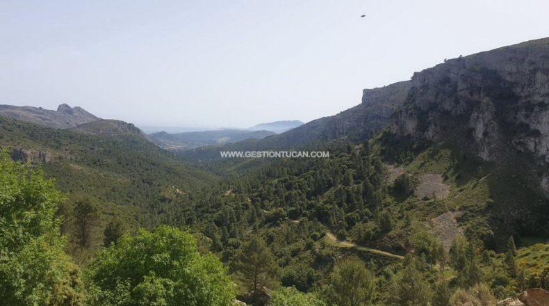 Alicante - Lloma la Mata - 1112m2