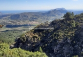 Non-developable land for sale in Benigembla ref: TR186940 photo