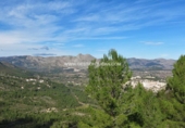 Non-developable land for sale in Benigembla ref: TR186940 photo