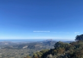 Non-developable land for sale in Benigembla ref: TR186940 photo