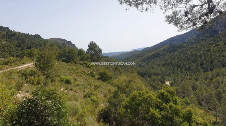 Alicante - Lloma la Mata - 1112m2