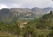 Non-developable land for sale in Benigembla ref: TR186940 photo