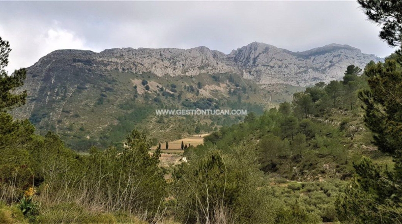 Alicante - Lloma la Mata - 1112m2