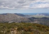 Non-developable land for sale in Benigembla ref: TR186940 photo