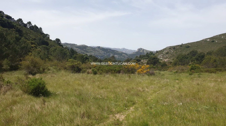 Alicante - Lloma la Mata - 1112m2