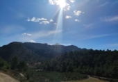 Non-developable land for sale in Benigembla ref: TR186940 photo