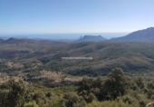 Non-developable land for sale in Benigembla ref: TR186940 photo
