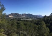 Non-developable land for sale in Benigembla ref: TR186940 photo
