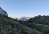 Non-developable land for sale in Benigembla ref: TR186940 photo
