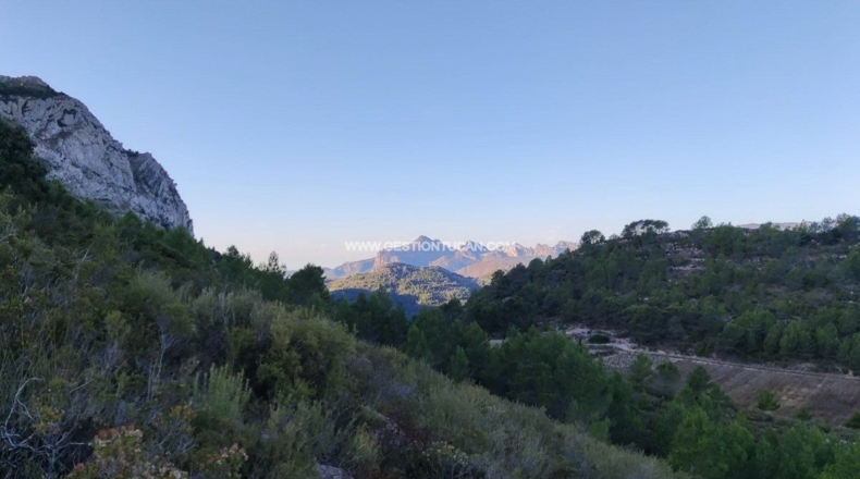 Alicante - Lloma la Mata - 1112m2