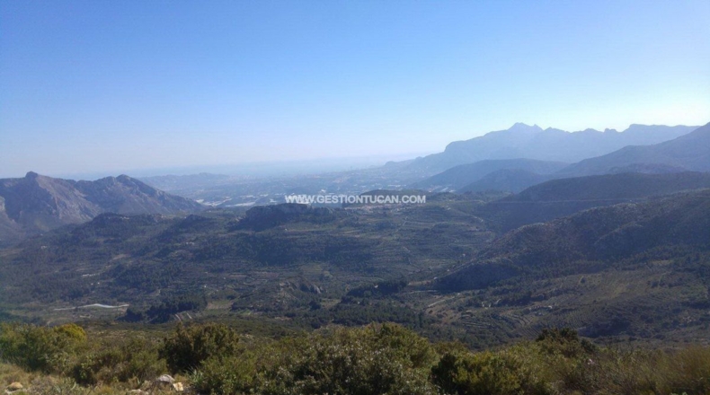 Alicante - Lloma la Mata - 1112m2