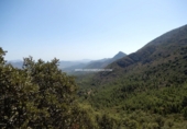 Non-developable land for sale in Benigembla ref: TR186940 photo