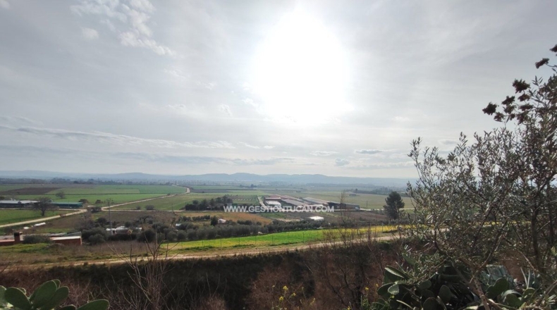 Toledo - Calera y Chozas - 378m2