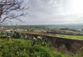 Sòl urbà en venda a Calera y Chozas ref.: TR252622 foto
