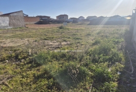 Cebolla 1820&nbsp;м²