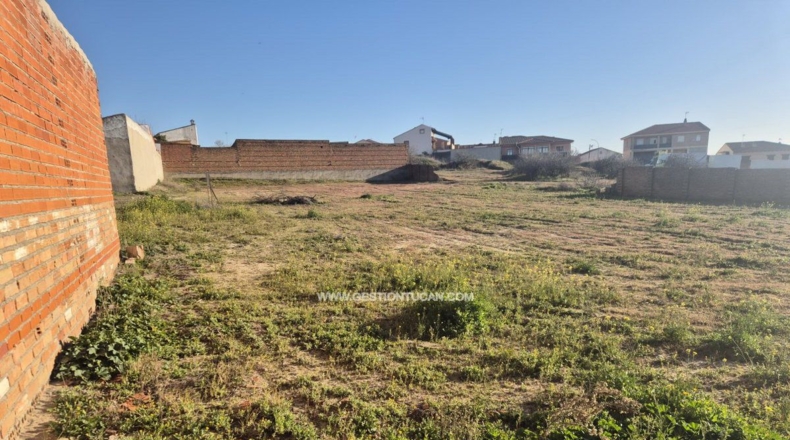 Toledo - Cebolla - 1820m2